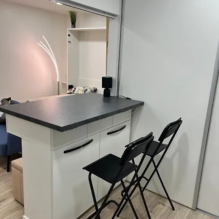 Apartament Studija Vytauto 22